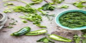 Green Chillies And Fresh Coriander Leaves Chutney